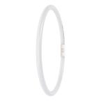  LED FC4055 EXT 21.5W 830 2GX13 