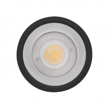  DL SF DN90 15W/830 36° IP65 BK 
