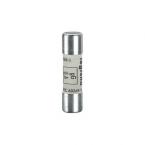  CARTOUCHE GG 10X38   10A 500V 