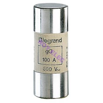  CARTOUCHE GG 22X58  100A 500V 