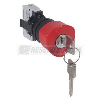 ACS COMPO NL CLE D40 RG + NF 
