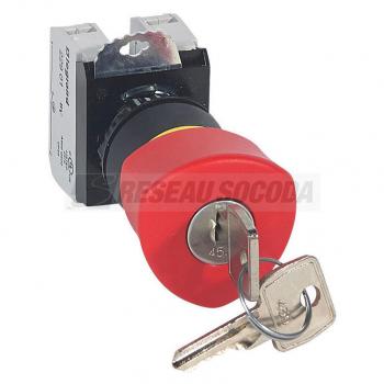  ACS COMPO NL CLE D40 RG+1NO1NF 