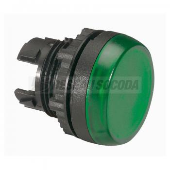  ACS TETE VOYANT VERT 