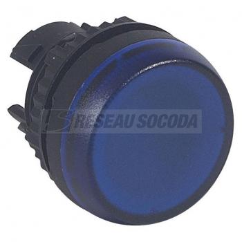 ACS TETE VOYANT BLEU 