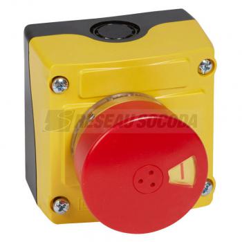  BOITIER CDP VISU D54 RG 1NF 