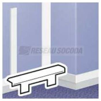  EMBOUT 60X12,5 ET 16 BLANC 