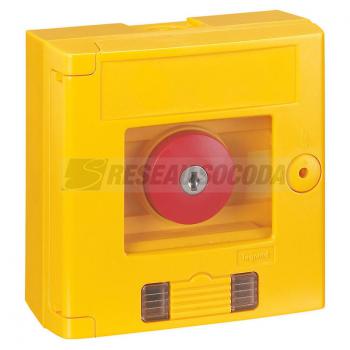  COFFRET JAUNE CDP CLE VOYANT 