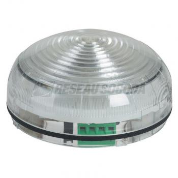  FEU LED MULTICOLORE  3 C. 