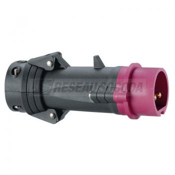  FICH D 16A 2P 20/25V PLAST 44 