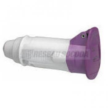  PRISE MOBILE TBT 2P 32A 24V 