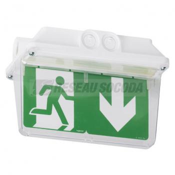  SIGNALISATION TRIANG EVAC IP66 