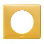  **PLAQUE 1P  LAITON 
