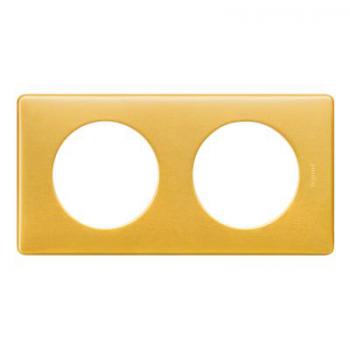  **PLAQUE 2P  LAITON 