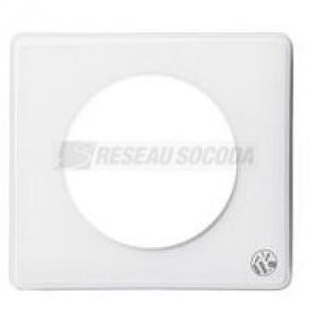  **PLAQUE 1P  ANTIMICROBIEN 