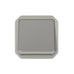  VV 10AX LUMINEUX GRIS COMPO 