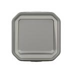  VV 10AX TEMOIN GRIS SAILLIE 