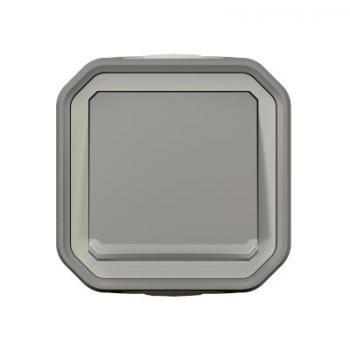 VV 10AX TEMOIN GRIS SAILLIE 