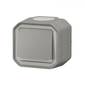  VV 10AX TEMOIN GRIS SAILLIE 