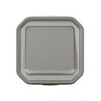  VV 10AX LUM GRIS SAILLIE 