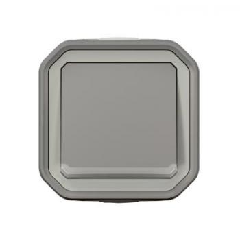  VV 10AX LUM GRIS SAILLIE 