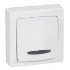  **POUSSOIR LUMINEUX TEMOIN SAI 