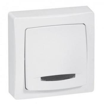  **POUSSOIR LUMINEUX TEMOIN SAI 