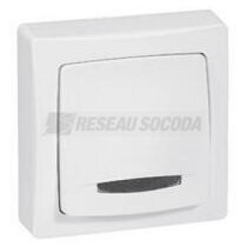  **POUSSOIR LUMINEUX TEMOIN SAI 
