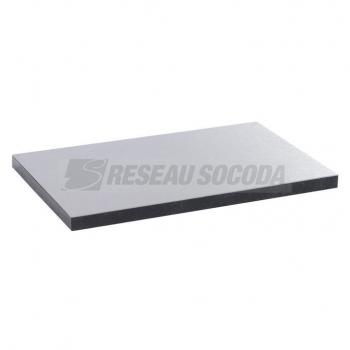  PLAQUE SS  BTE METAL 12/18M 