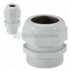  PE ISO 25 PLAST IP55 RAL 7035 