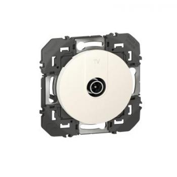  TV MALE ETOILE BLINDEE BLANC 