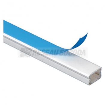  MOULURE DLPLUS 20X12,5 ADHESIF 