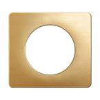  PLAQUE 1 POSTE LAITON SATINE 