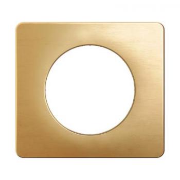  PLAQUE 1 POSTE LAITON SATINE 