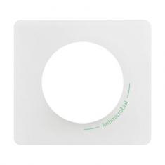  PLAQUE 1P ANTIMICROBIEN 