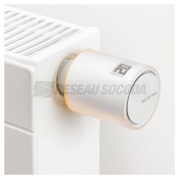  TETE THERMOSTATIQUE 