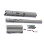  PACK 2x4x1,2V-0.6Ah-Ecosafe 