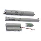  Pack 3X1.2V-0.8Ah - Epsilon 