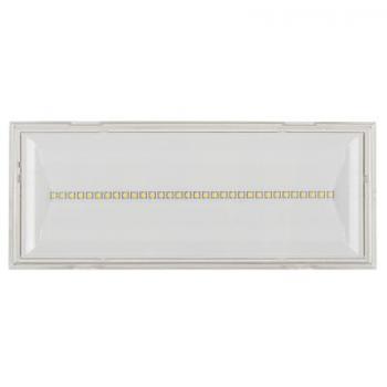  NEXITECH LED 1000lm 