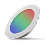  RIGEL II DOWNLIGHT12W RGB+W 