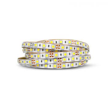  BANDEAU BLC 3KK 5M 60LED 5W/M 