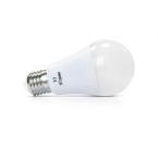  LED VISION-EL  10 W  BULB E27 