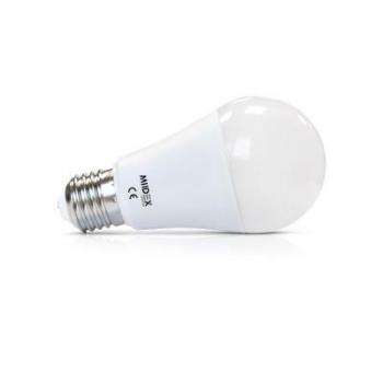  LED VISION-EL  10 W  BULB E27 