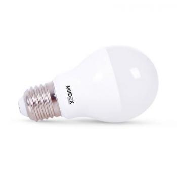  LED VISION-EL 6 W BULB E27 300 