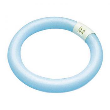  G10Q 30x307 32W 3000K IRC 80 