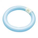  G10Q 30x307 32W 6500K IRC 80 