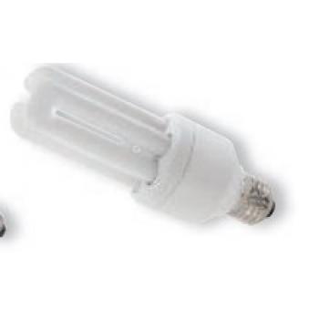  E14 18 W ACTINIQUE 