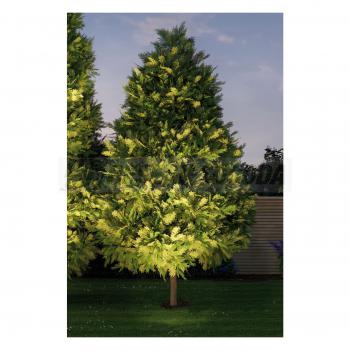  Exterieur Plug & Shine Encastr 