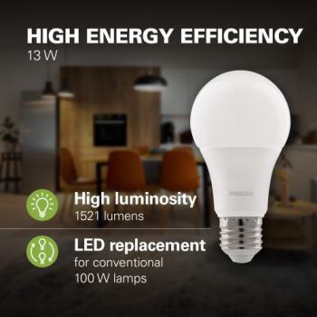  MZD LED 100W A65 E27 WW FR ND 