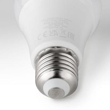  MZD LED 100W A65 E27 WW FR ND 