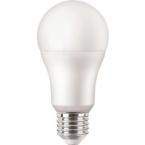  MZD LED 100W A65 E27 CW FR ND 